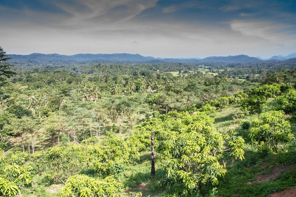 Jim'S Farm Villas Madawala Exterior photo